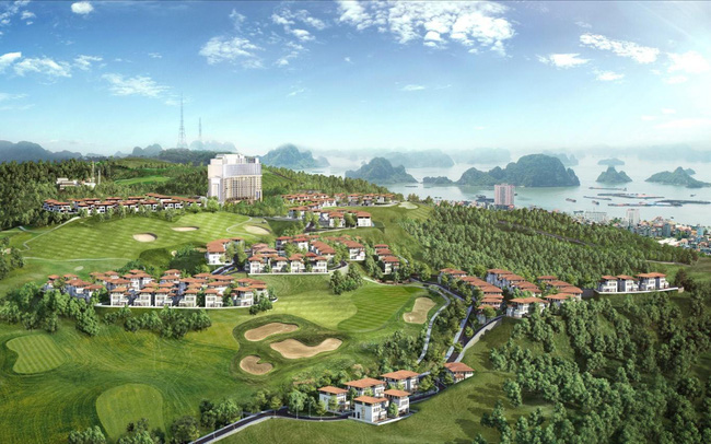Tin tức 1